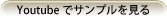 Youtube�ǥ���ץ�ࡼ�ӡ��򸫤�