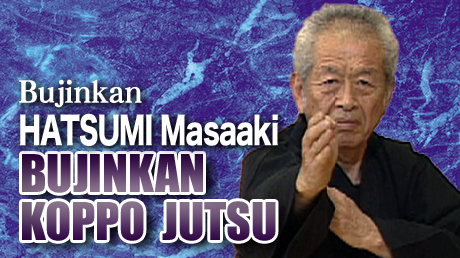 Bujinkan Koppo Jutsu