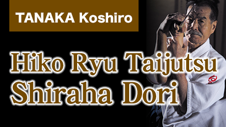 Hiko Ryu Taijutsu　Shiraha Dori